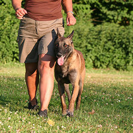 Wandelen