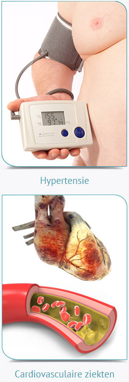Hart en bloedvaten