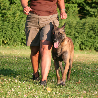 Wandelen