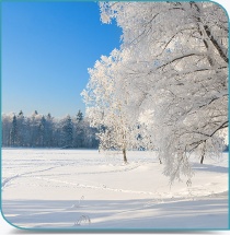 Weersomstandigheden